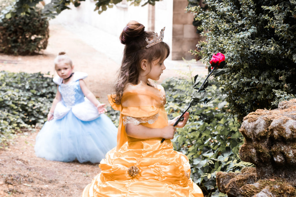 photographe verdun lorraine meuse séance photo enfant princesse disney cendrillon amandine michel